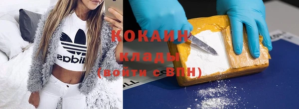 прущие грибы Абинск