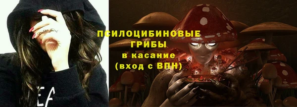 твердый Саяногорск