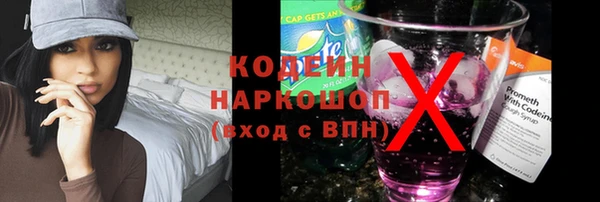 прущие грибы Абинск