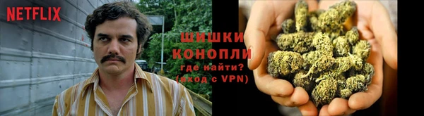 крисы Абдулино