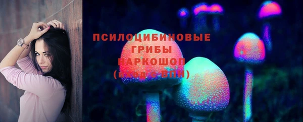 крисы Абдулино
