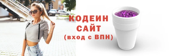 прущие грибы Абинск