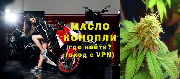 прущие грибы Абинск