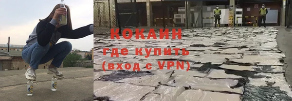 прущие грибы Абинск